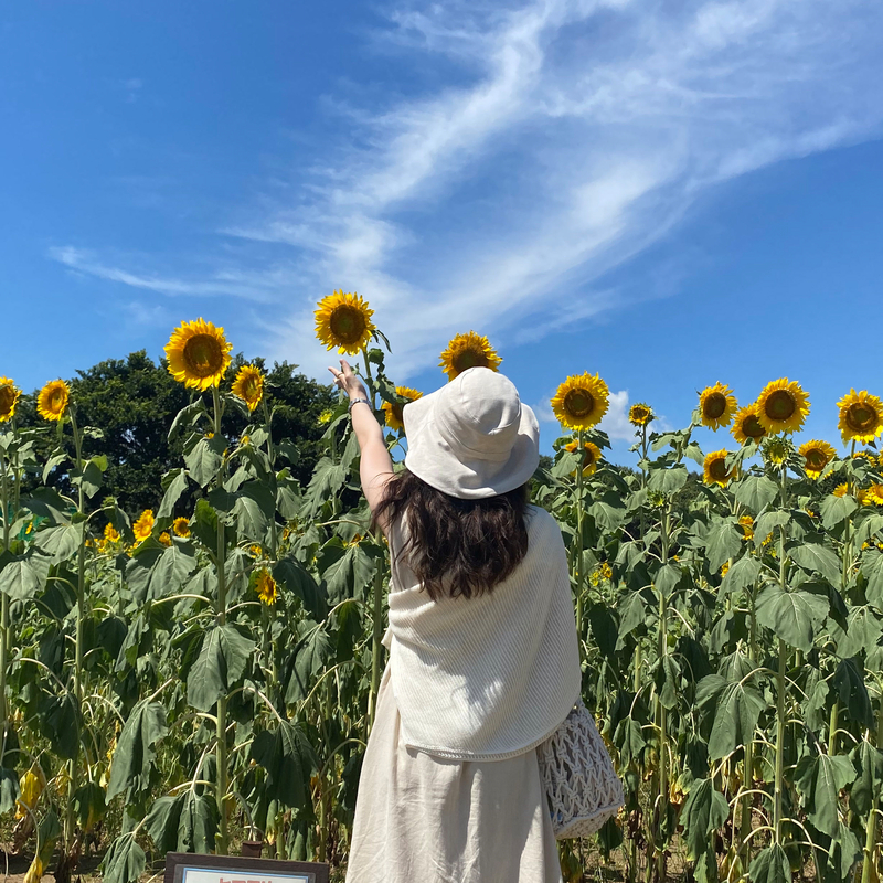 9534755/マルート/LOWRYS FARM/160