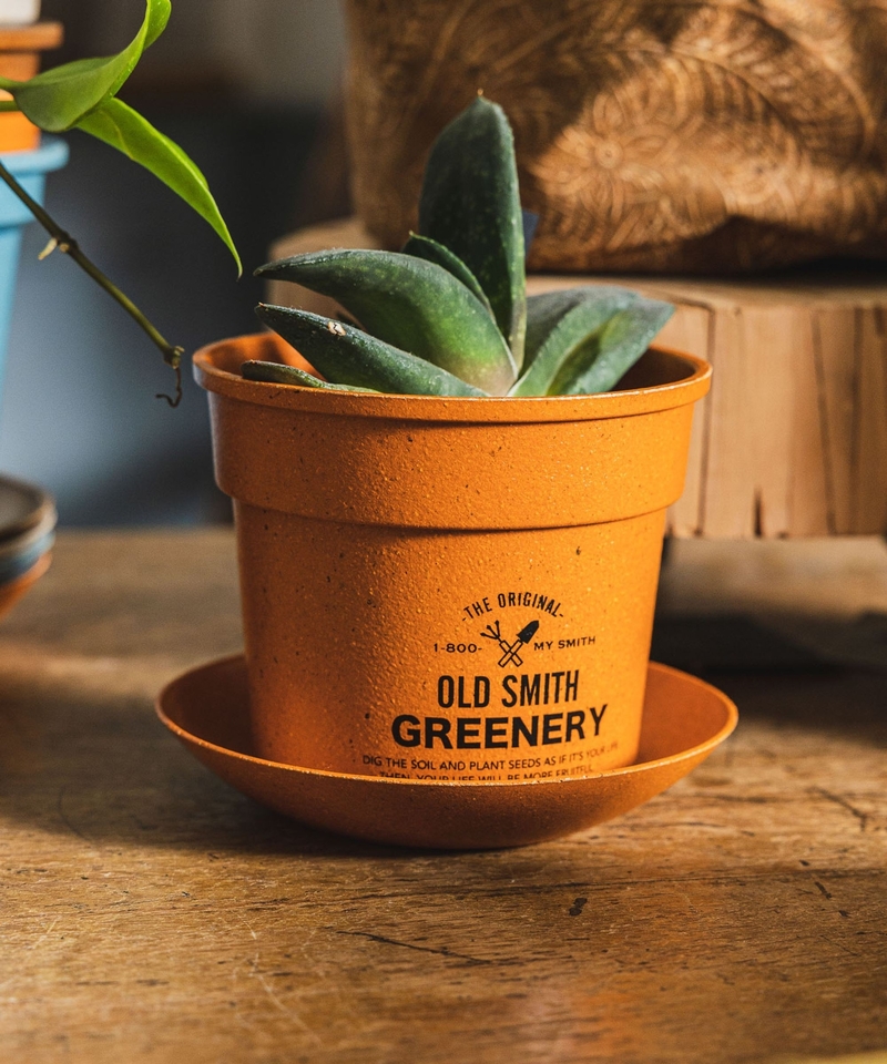 【OLD SMITH GREENERY】花盆附碟/M