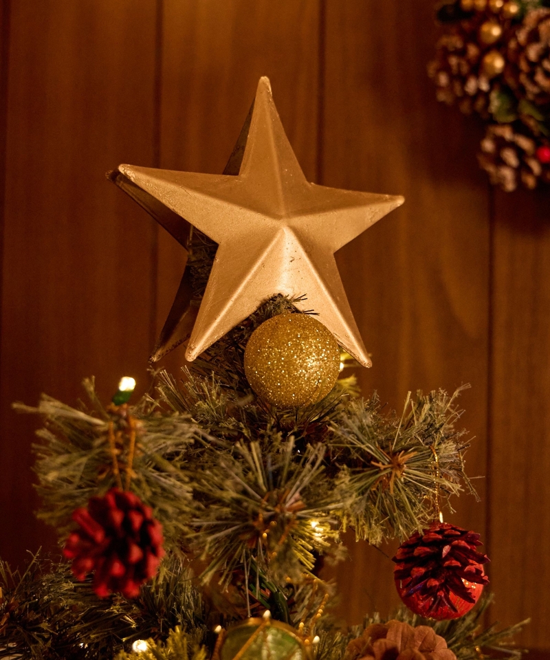 【XMAS】金色樹頂星星/M