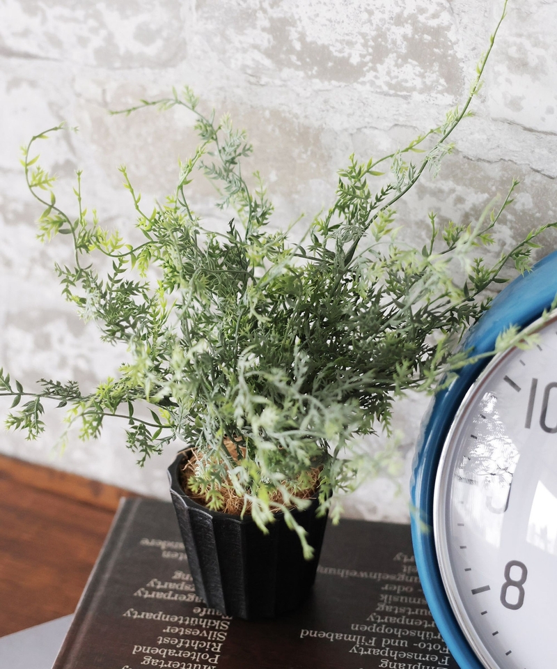 【仿植物系列】野草